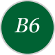 Vitamin B6 Logo